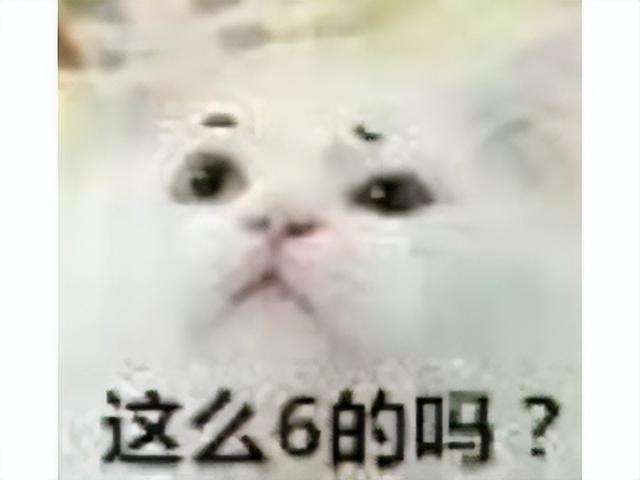 2024年网易都停运了啥?3D版DNF凉凉,新游上线45天宣布停运!