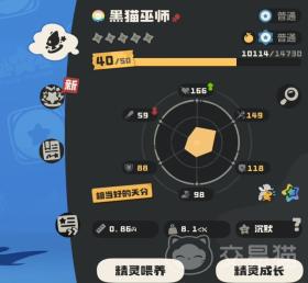 洛克王国世界小黑猫怎么样，洛克王国世界小黑猫探秘