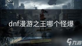 dnf漫游之王哪个怪爆，DNF漫游之王爆怪攻略