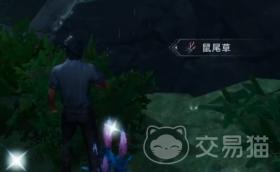 荒原曙光什么时候公测，荒原曙光公测时间揭晓